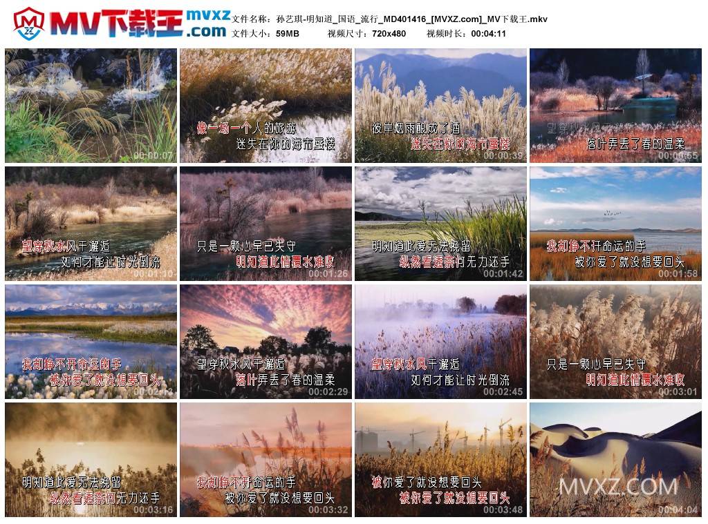 孙艺琪-明知道_国语_流行_MD401416